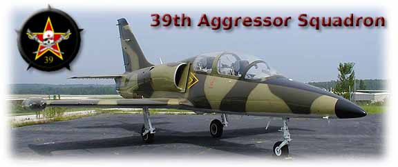 L-39 Fighter Jet - 39th Aggressor Squadron